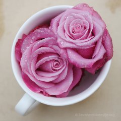 Розовый чай