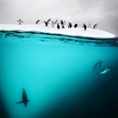 Жизнь под водой
