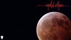 Pearl Jam - Superblood Wolfmoon