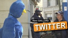 Розыгрыш в кострюме птички Twitter