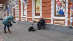 Собака-подпевака