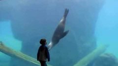 Мальчик играет с морским львом в аквариуме