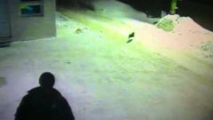 Мужчина показывает кошке дорогу