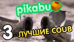 Лучшие coub по версии Pikabu (Часть 3)