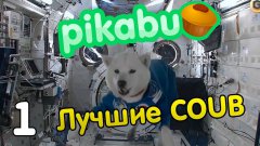 Лучшие coub по версии Pikabu (Часть 1)