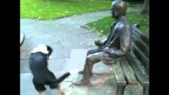 Собака хочет поиграть с памятником