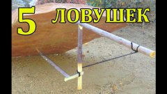 5 лучших ловушек для выживания